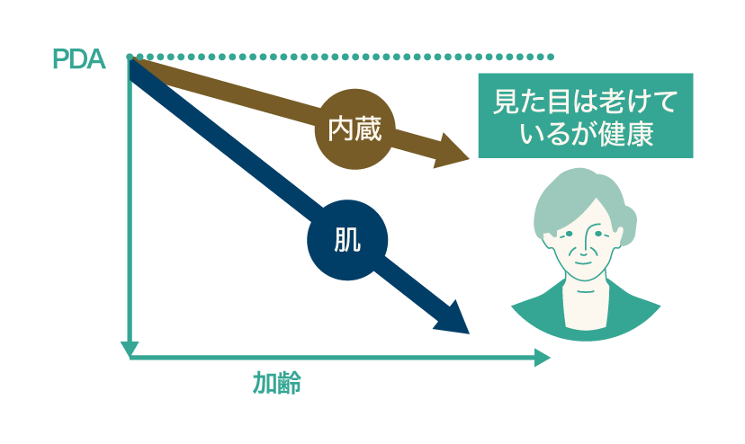 内臓の老化は緩やかだが、肌の老化が速い、見た目は老けているが健康な例