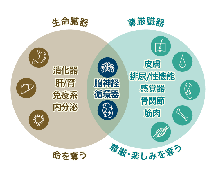 生命臓器と尊厳臓器の関係を示す図