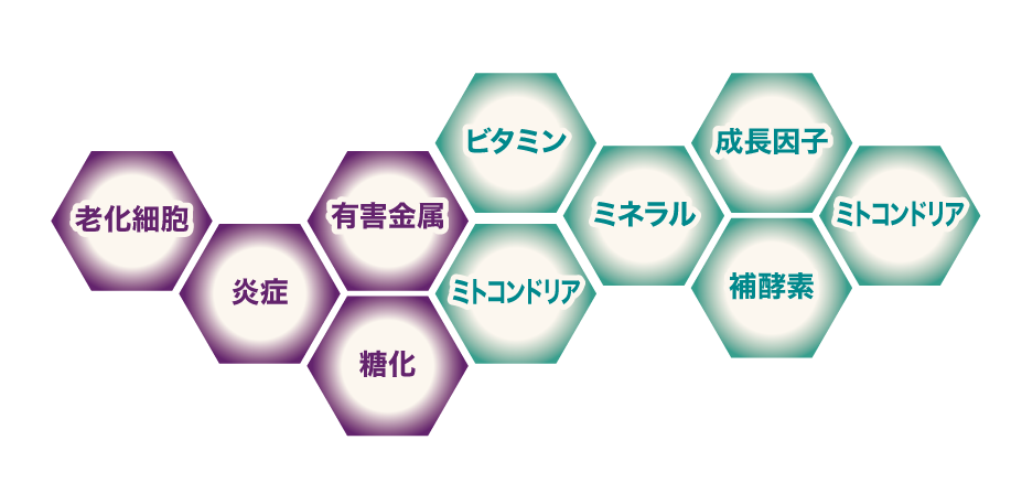 改善の対象と、補う材料を示す図